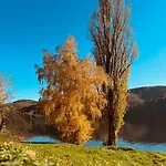 Tabacowka