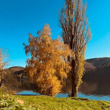 Tabacowka